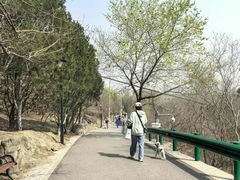 -白水寺森林公园