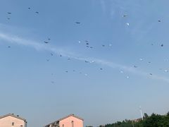 -府君山公园
