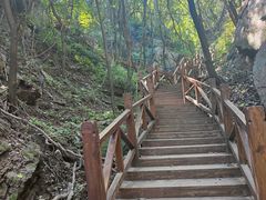 -大岭沟猕猴桃谷风景区