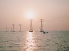 -宝安西湾红树林湿地公园