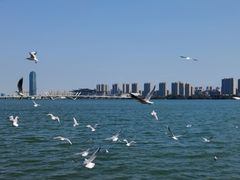 -无锡蠡湖国家湿地公园-蠡园
