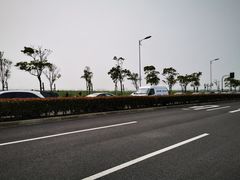 -春花秋色城市公园