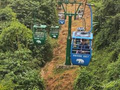 -野象谷景区