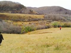 -塞罕坝国家级自然保护区