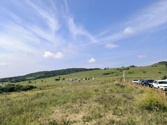 -塞罕坝国家级自然保护区