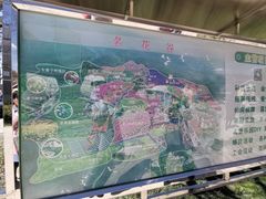 -名花谷生态庄园