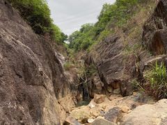 -东莞市大岭山森林公园
