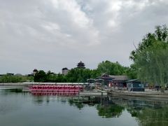 -莲花池公园
