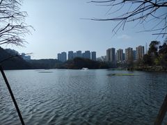 -重庆彩云湖湿地公园