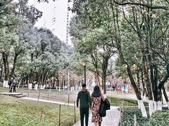 -重庆市江北嘴中央商务区中央公园