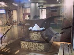 -汤里来温泉