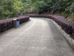 -田心森林公园