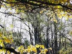 -洮儿河国家湿地公园