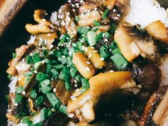 -红星光发煲仔饭(大石街店)