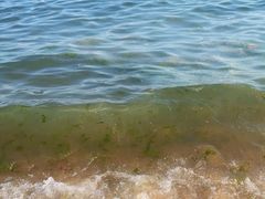 -青岛第一海水浴场