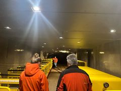 -波斯托伊纳溶洞