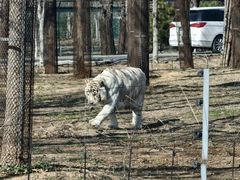 -秦皇岛野生动物园
