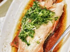 -海港酒家(上水新丰店)