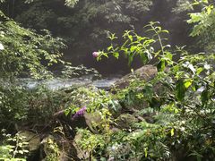 -神农架香溪源景区