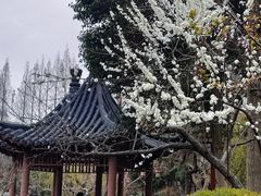 -郑和公园