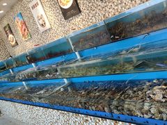 -港畔赶海蒸汽海鲜烧烤自助(仙螺岛店)