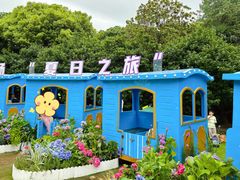 -上海滨江森林公园