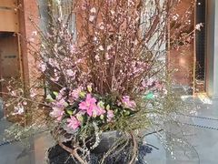 -浅深Cheersum(曹杨店)