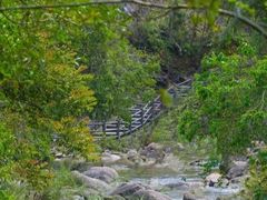 -广州白江湖森林公园