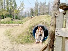 -前小桔亲子创意农场·草莓采摘·露营烧烤