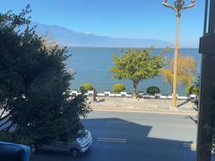 -野菌皇海景野生菌火锅(滨海大道店)