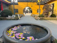 -上海青龙寺