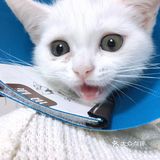 小宝贝要快点恢复健康啊