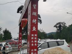-望湖烤鱼