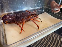 -官也街澳门火锅(新源里店)