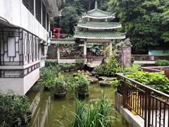 -椿记烧鹅(叠彩店)
