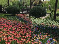 -上海鲜花港