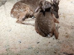 -正佳雨林生态植物园