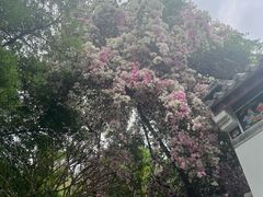 -深圳国际园林花卉博览园