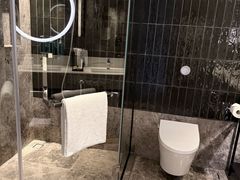 -新加坡乌节希尔顿酒店