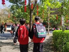 -星湖旅游景区七星岩