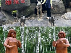 -茅兰沟国家森林公园