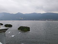 -海埂大坝