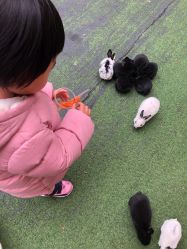 -萌宠亲子动物乐园(槐房万达店)