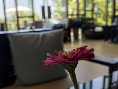 -逸廊大堂吧-下午茶·简餐-千岛湖自由洲际殿