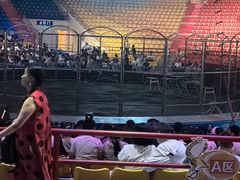 -俄罗斯国家大马戏团