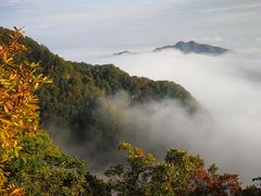 -王顺山国家森林公园