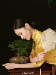 -CD视觉婚纱摄影