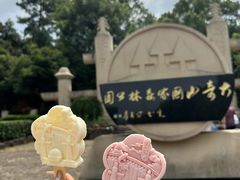 -大奇山国家森林公园
