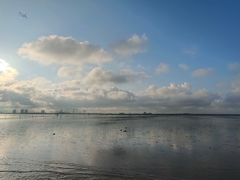-南汇新城海滩