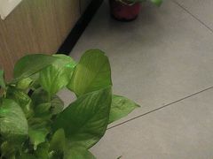 -耳湾躺式采耳SPA馆(保利五月花店)